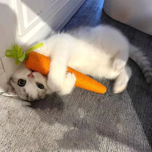 Knitted Carrot Toy